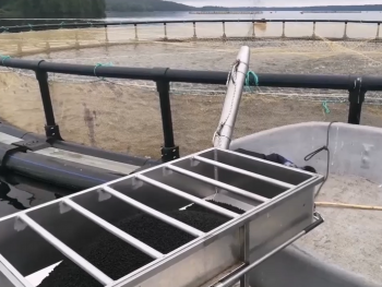 Автоматические кормораздатчики для рыбы